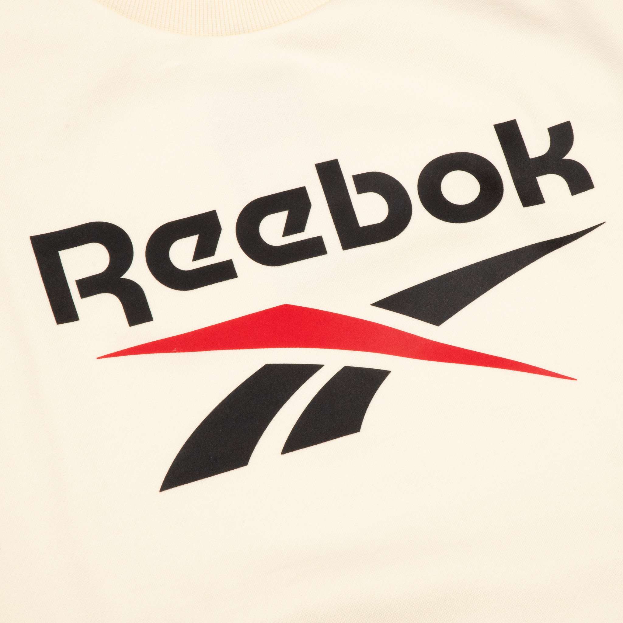 Sudadera Reagan Oversized Crewneck Sweatshirt