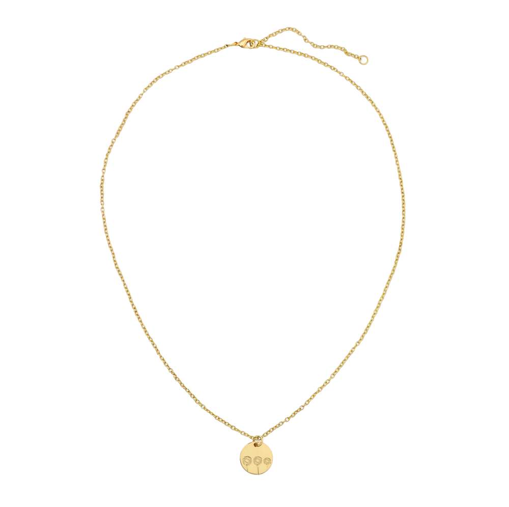 Daisy Botanical Necklace, , large