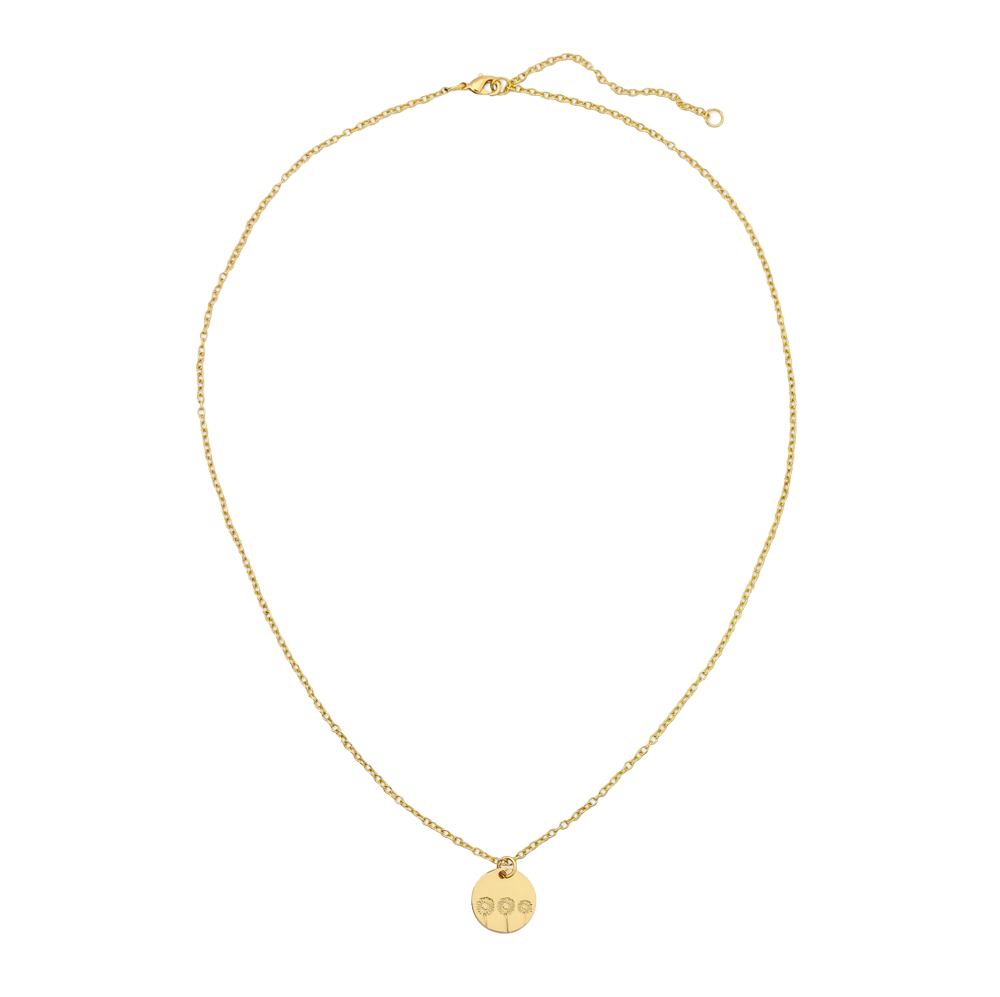 Daisy Botanical Necklace, , large