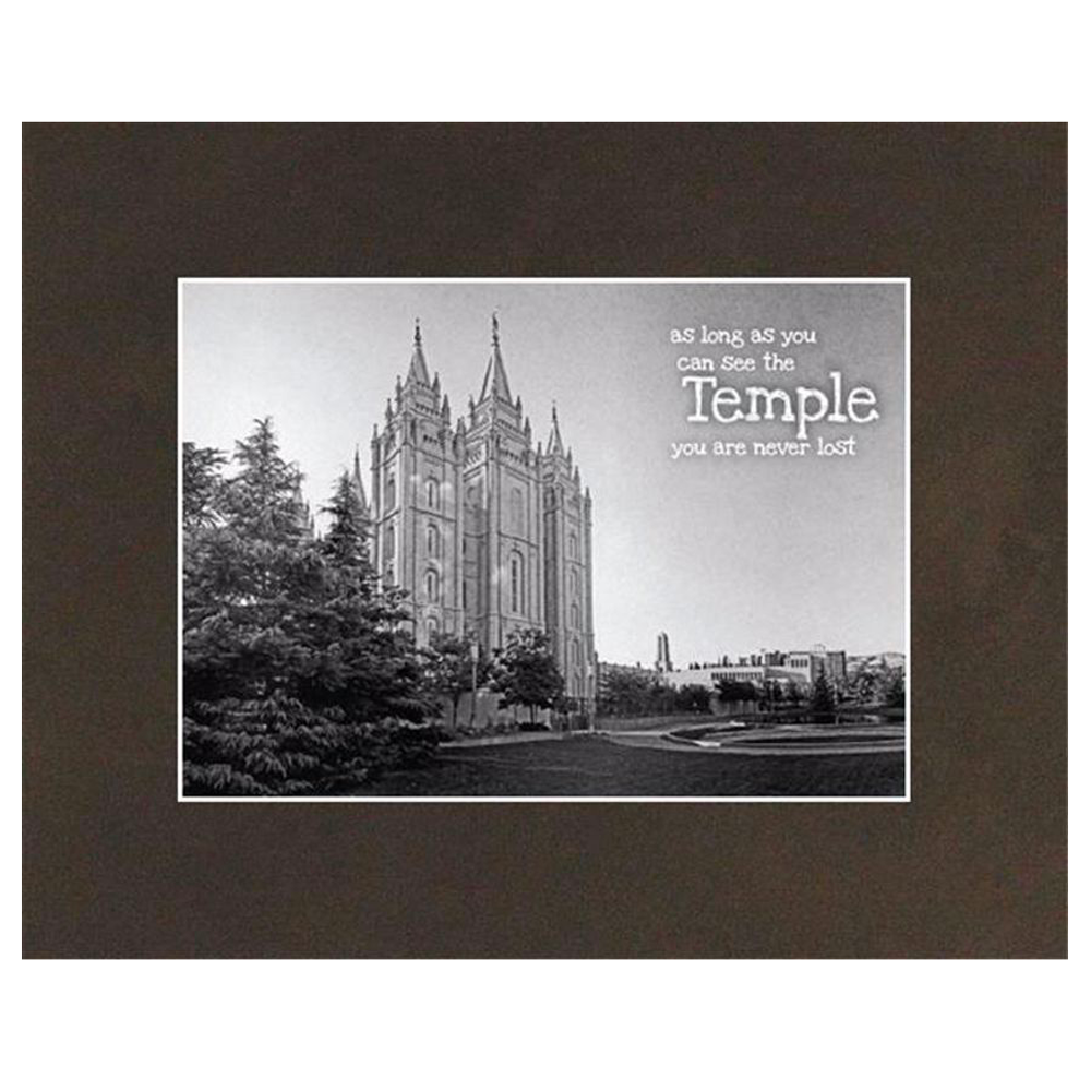 Salt Lake Temple for Young Adults (8x10 Matted Print)