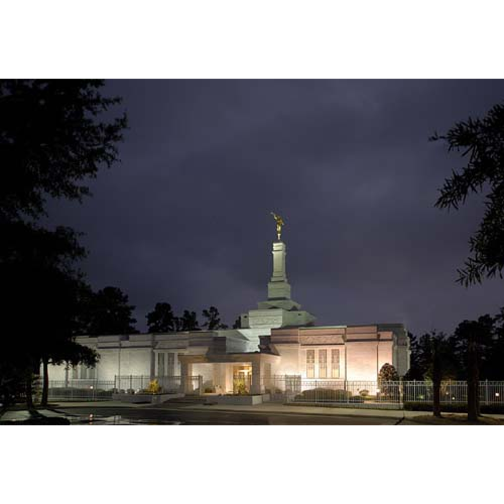 Columbia South Carolina Temple Recommend Holder, , large