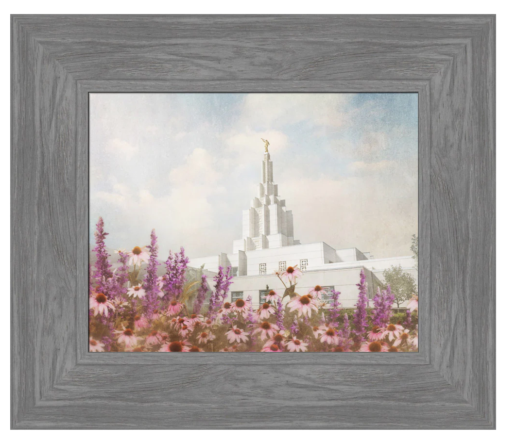 Idaho Falls Idaho Temple - Purple Flower (12x14 Framed Paper Print)