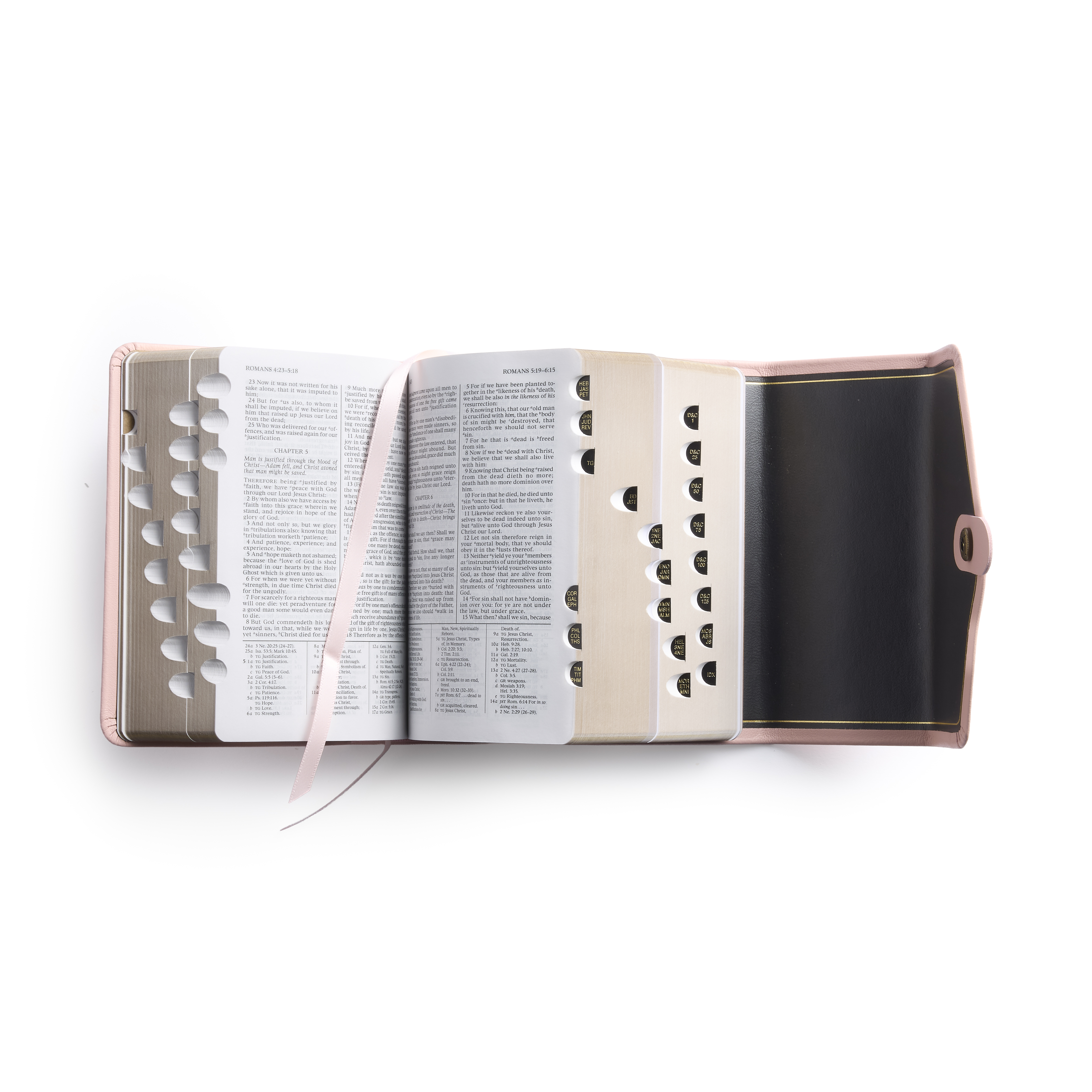 KT　ノート4冊 Genuine Leather Snap Quad Combination, Compact (Color Options)