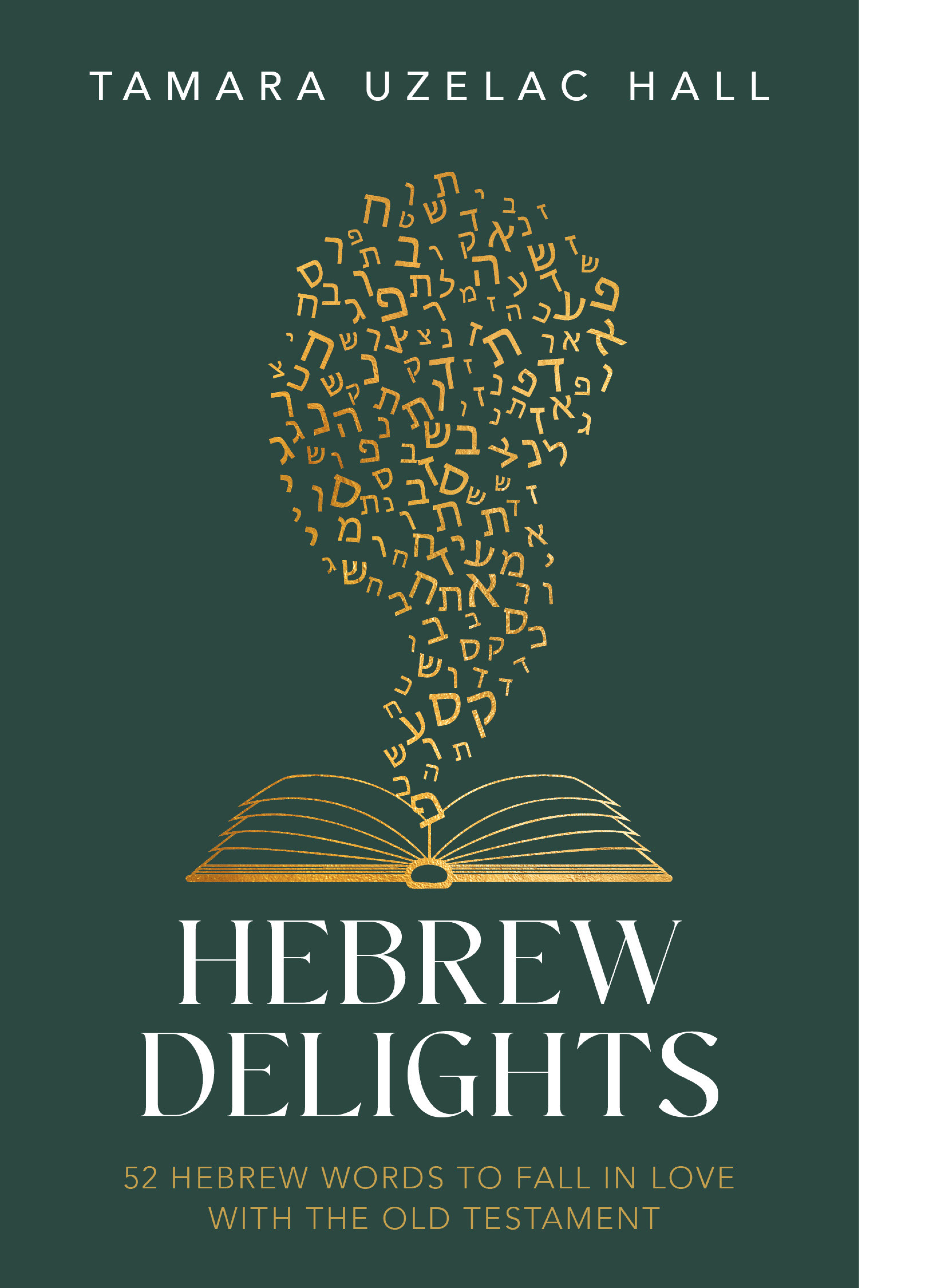 Hebrew Delights - HALL, TAMARA UZELAC | Deseret Book