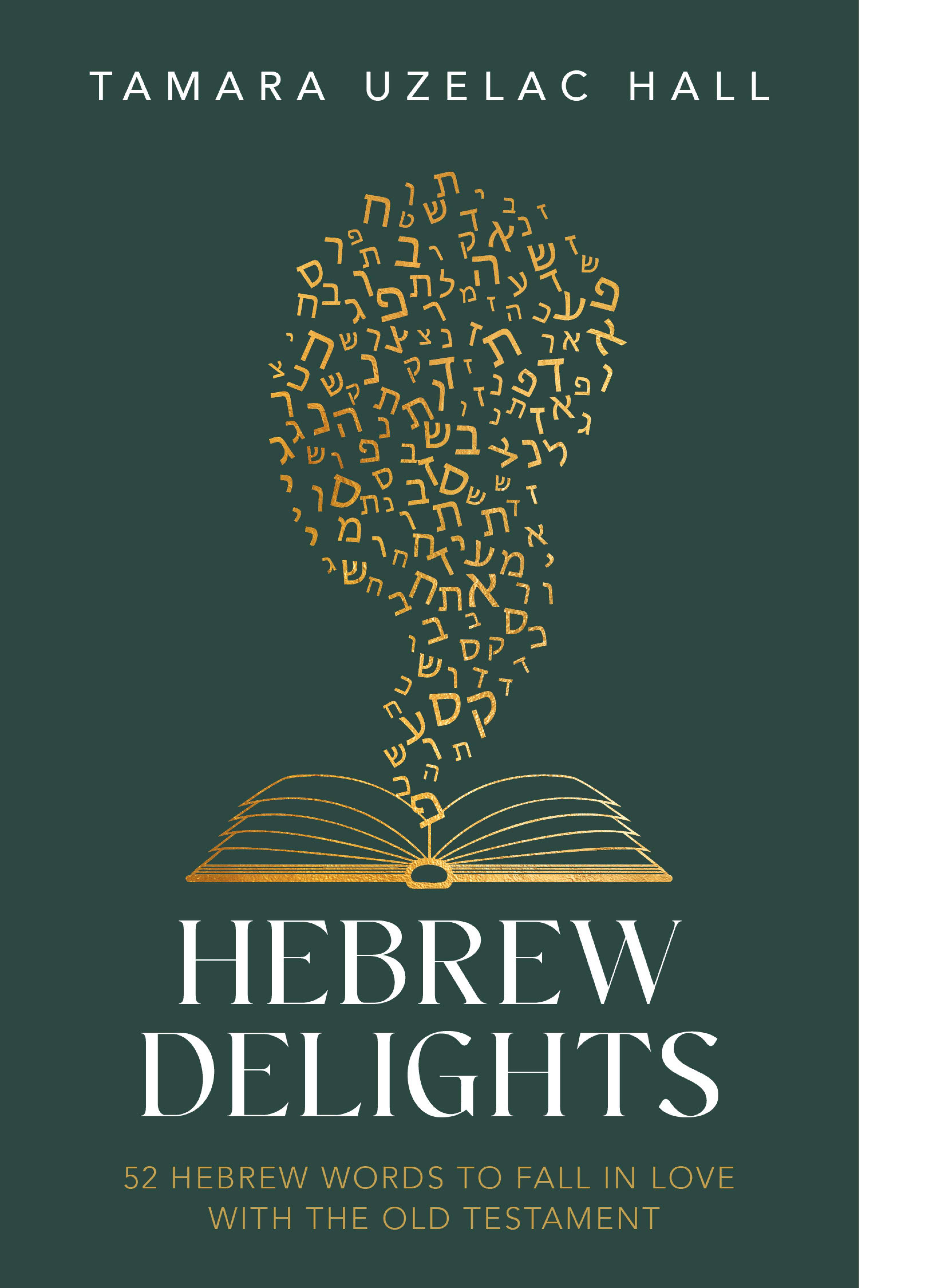 Hebrew Delights, , large image number 0
