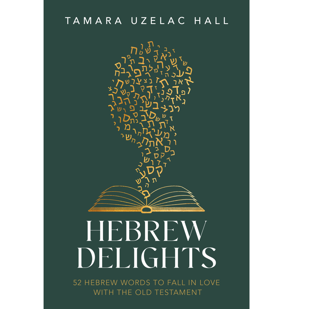 Hebrew Delights,  Hebrew Delights