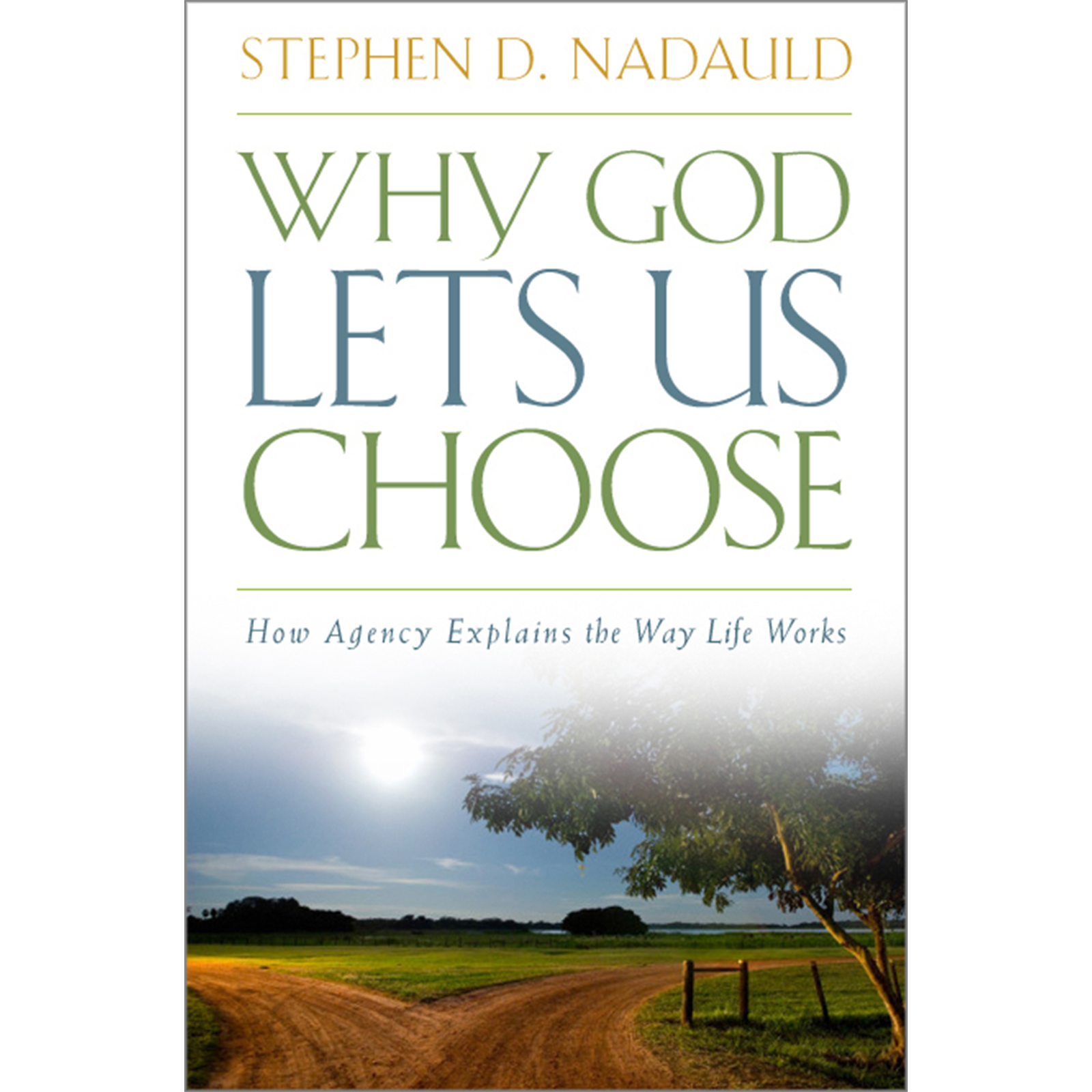 Why God Lets Us Choose, , large image number 0