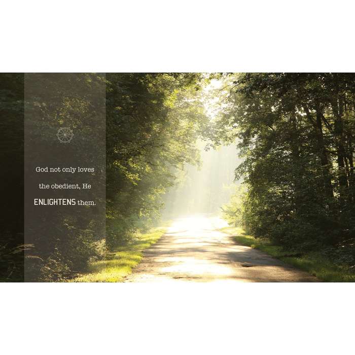 On the Path Home, , large image number 4