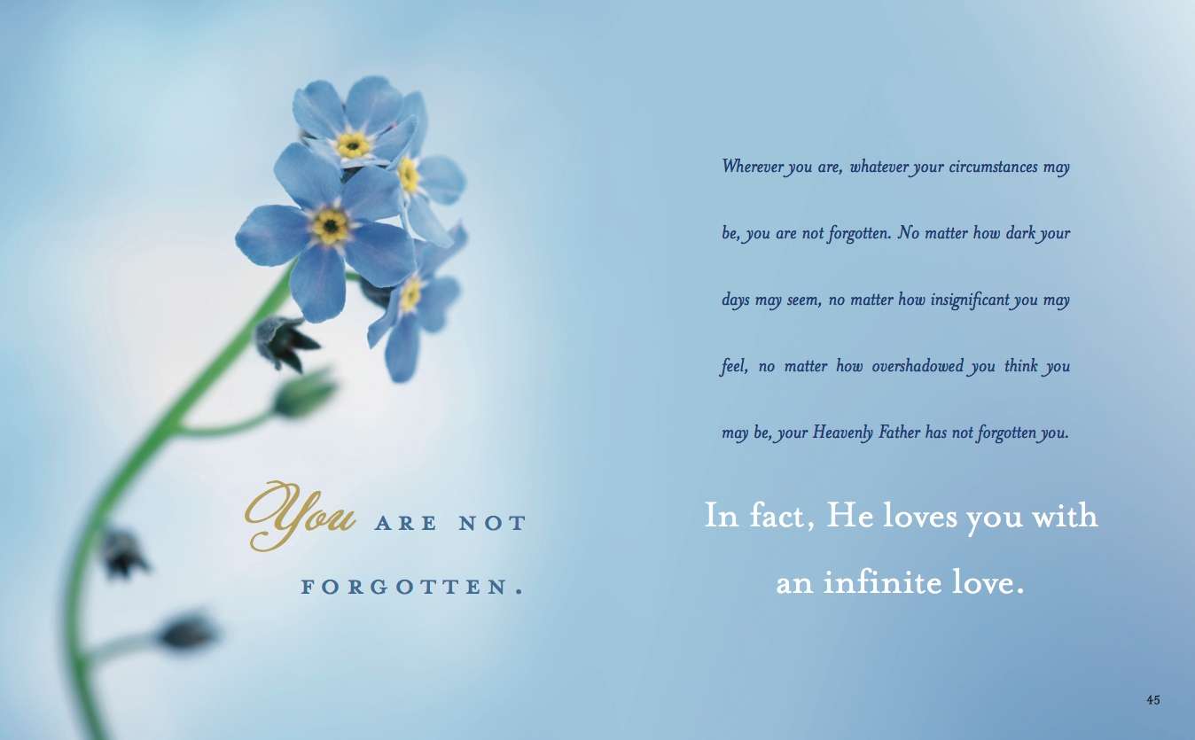 Forget Me Not, , large image number 2
