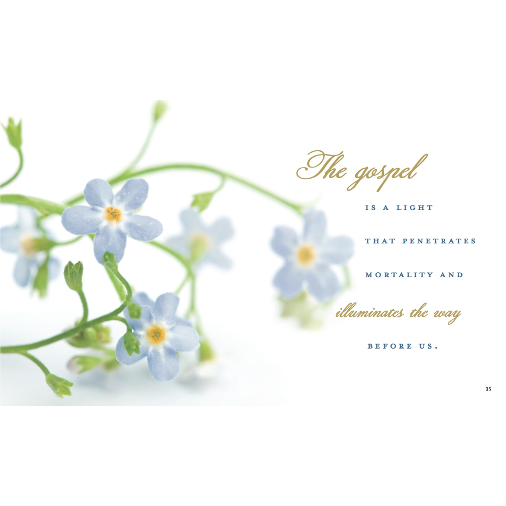 Forget Me Not, , large image number 1