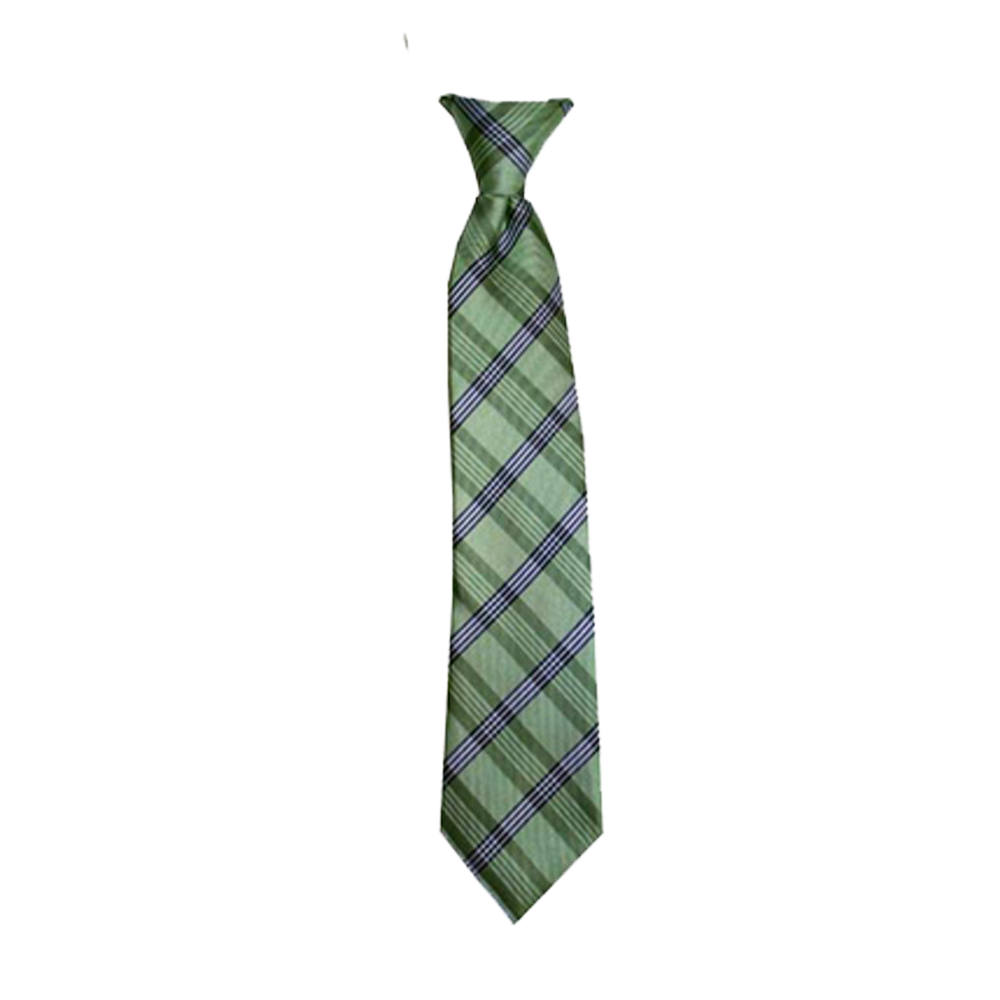 Boys' Willow Green Plaid Zipper Necktie