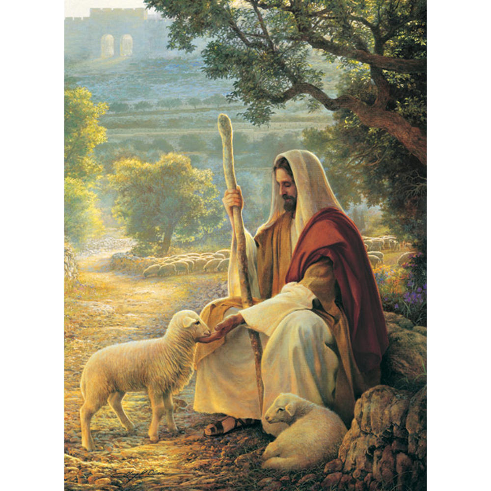 Lost No More Recommend Holder (Spanish), , large