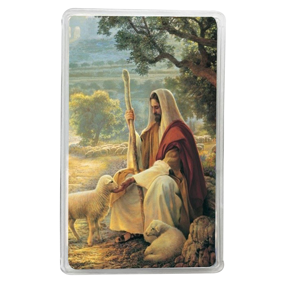 Lost No More Recommend Holder (Spanish),  Lost No More Recommend Holder (Spanish)