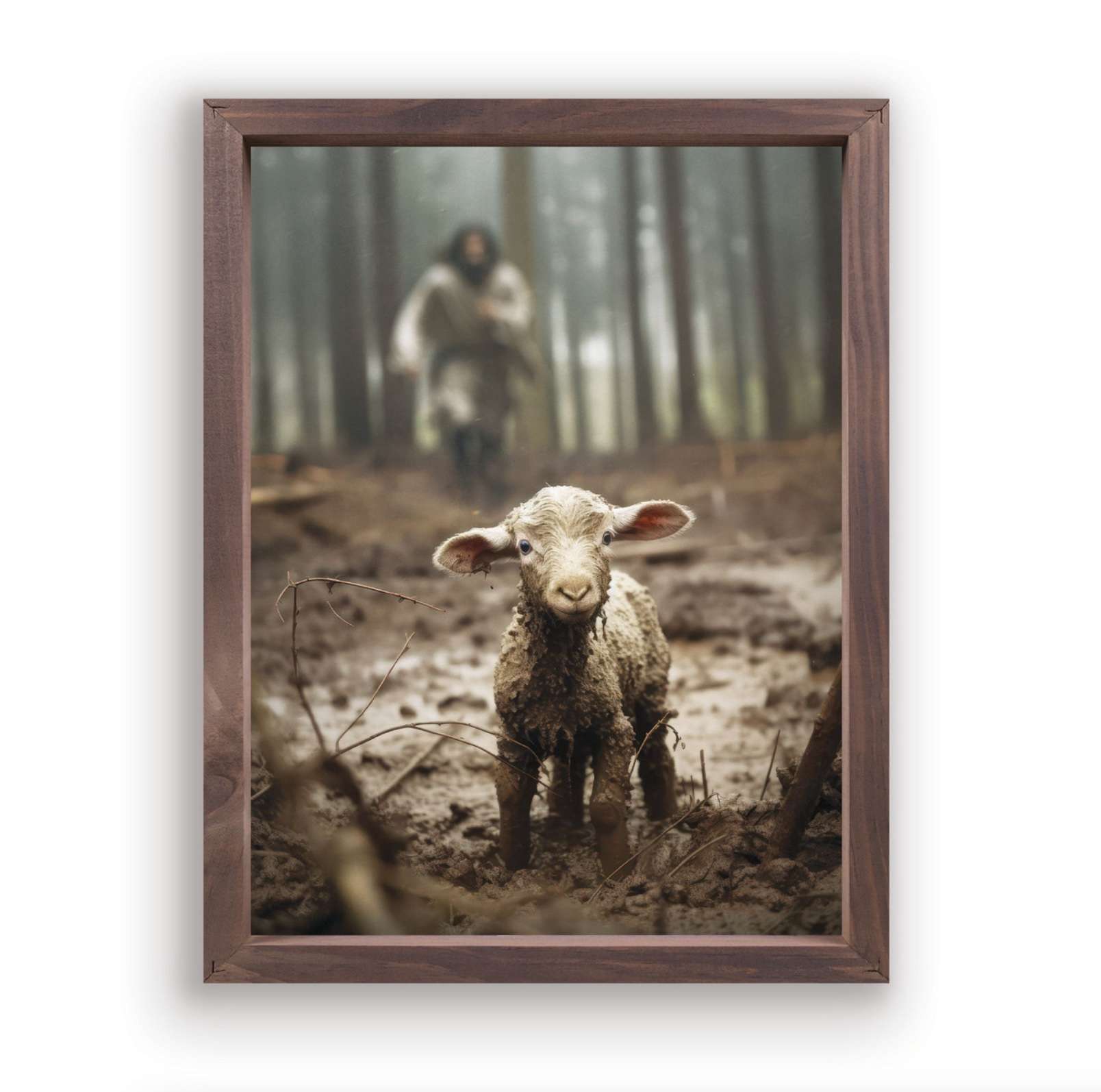 Lamb (12.75X16.75 Framed Canvas)