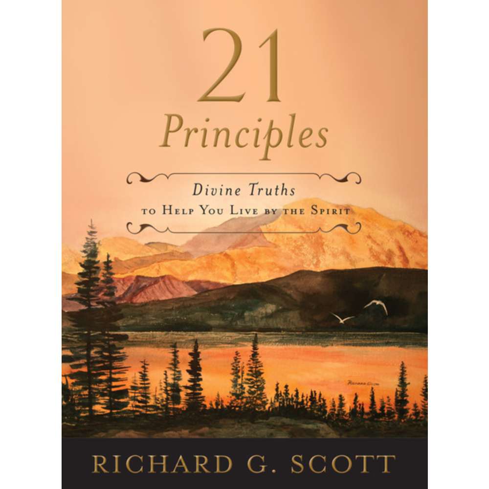 21 Principles, , large image number 0