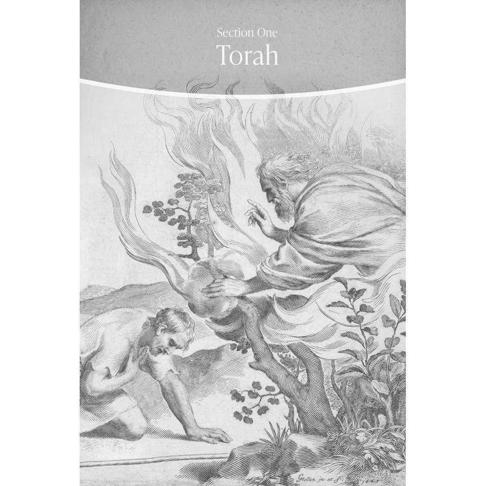 God’s Word in Our Hearts - BARON, ROSS; MUHLESTEIN, KERRY 6