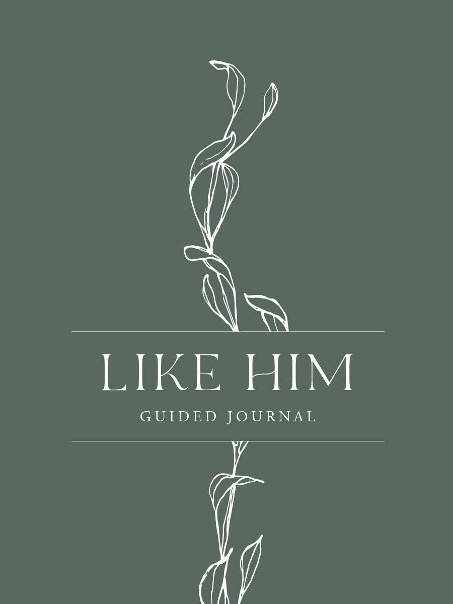 Like Him Guided Journal