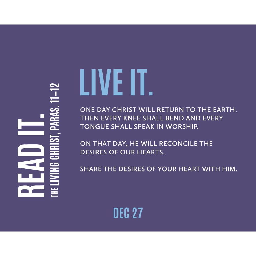 Don't Miss This Daily Doctrine and Covenants Study Calendar, , large image number 5