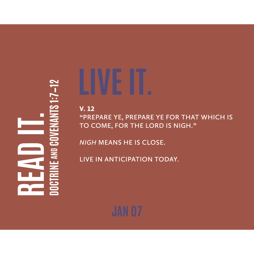 Don't Miss This Daily Doctrine and Covenants Study Calendar, , large image number 7