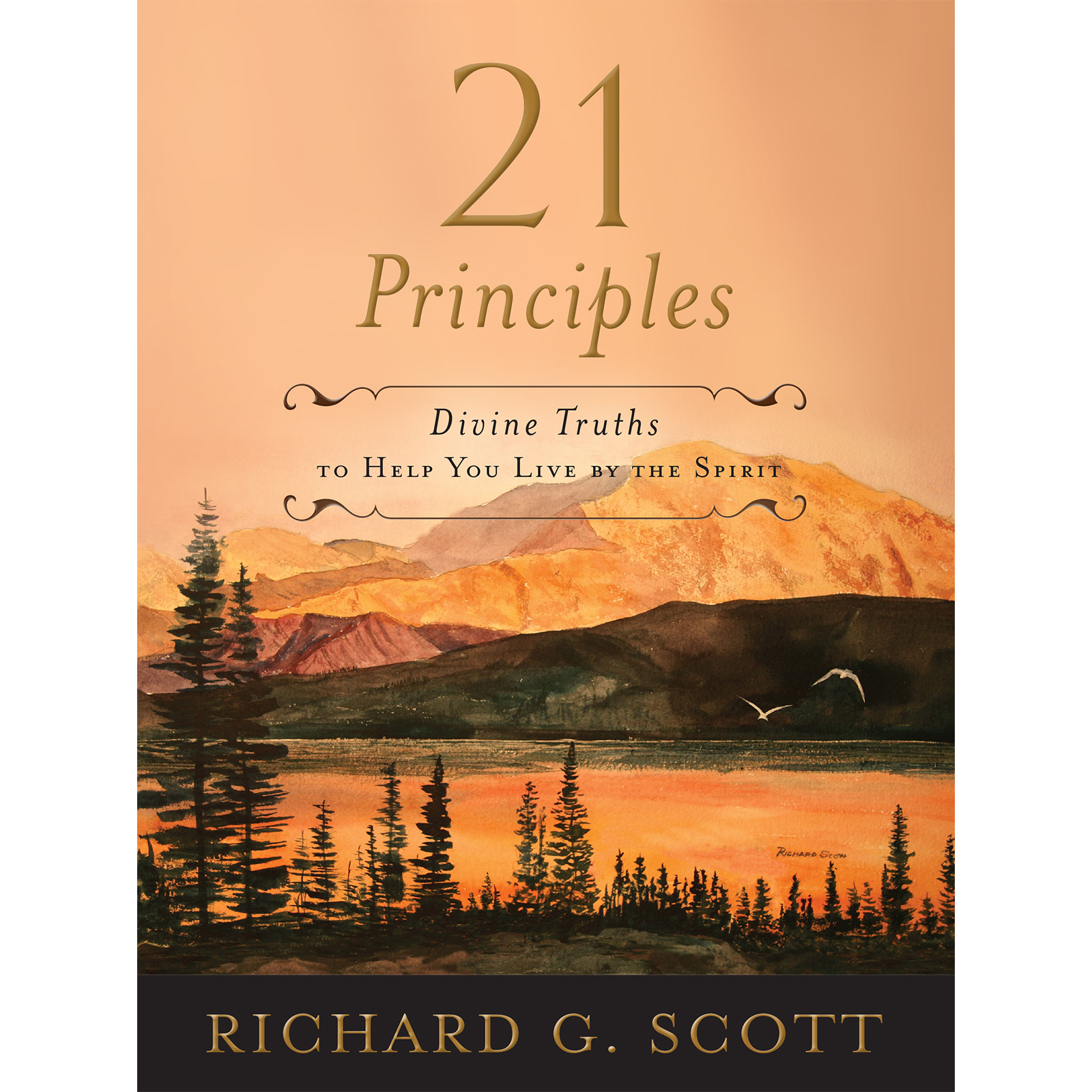 21 Principles, , large image number 0