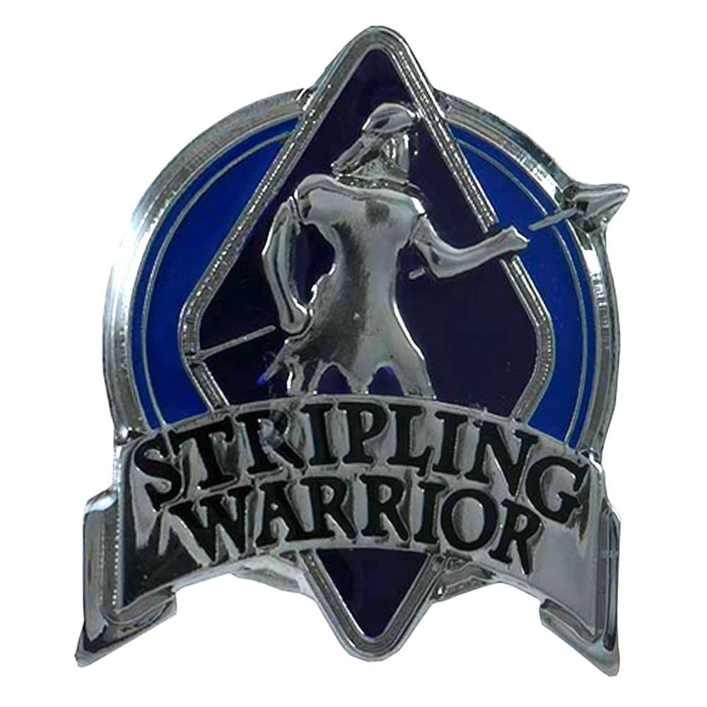 Stripling Warrior Pin