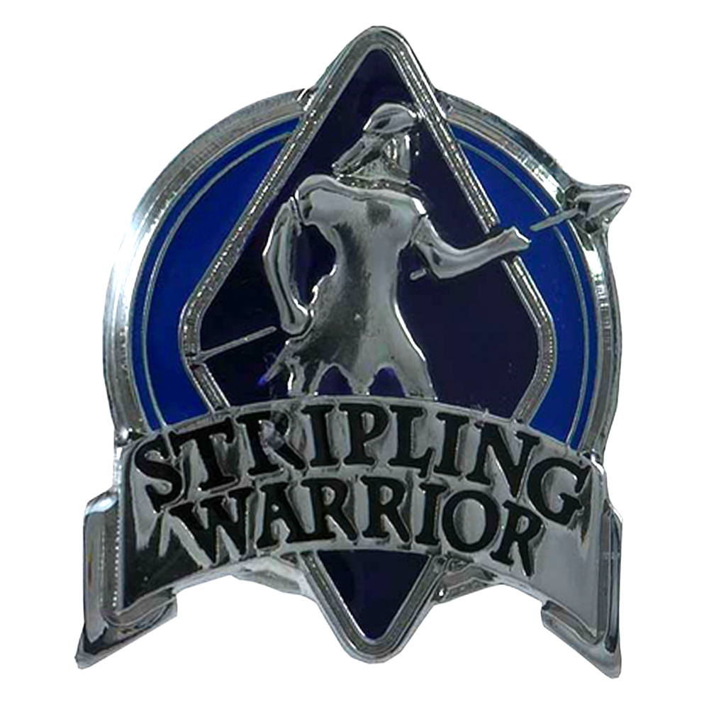 Stripling Warrior Pin, , large image number 0