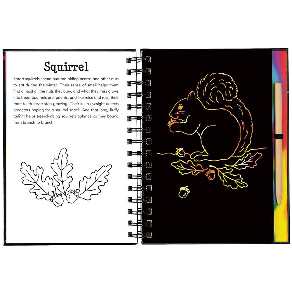 Forest Friends Scratch And Sketch, , large