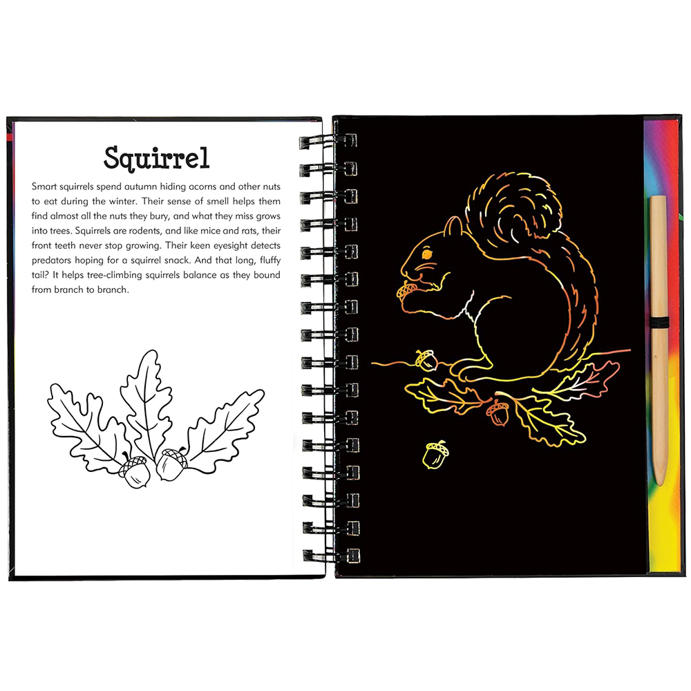 Forest Friends Scratch And Sketch, , large