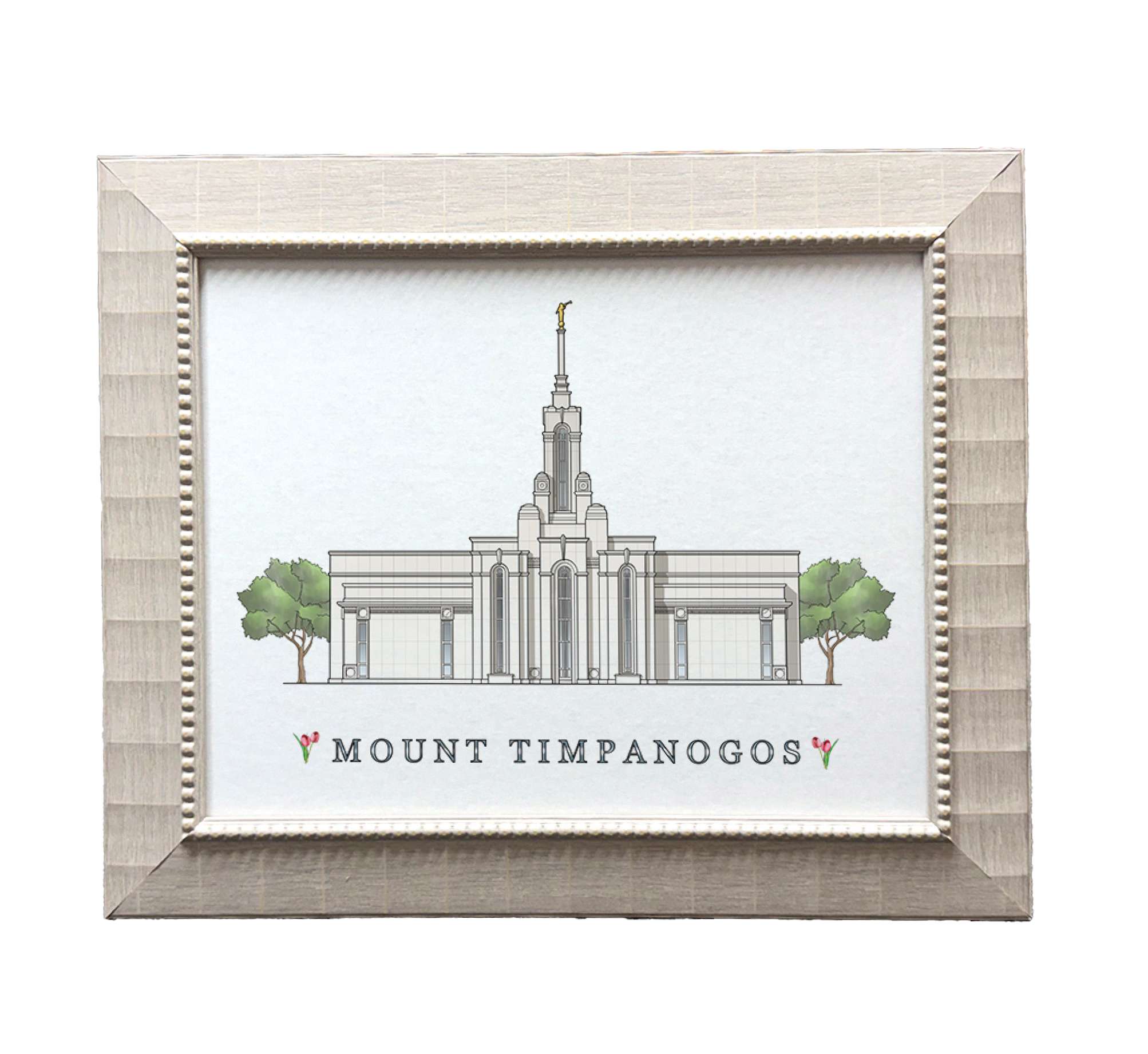 Mt. Timpanogos Utah Temple (15x18 Framed Paper Print)