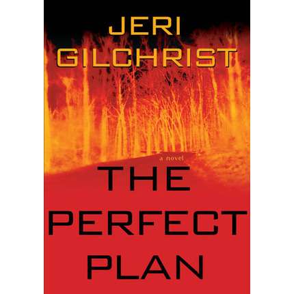 The Perfect Plan
