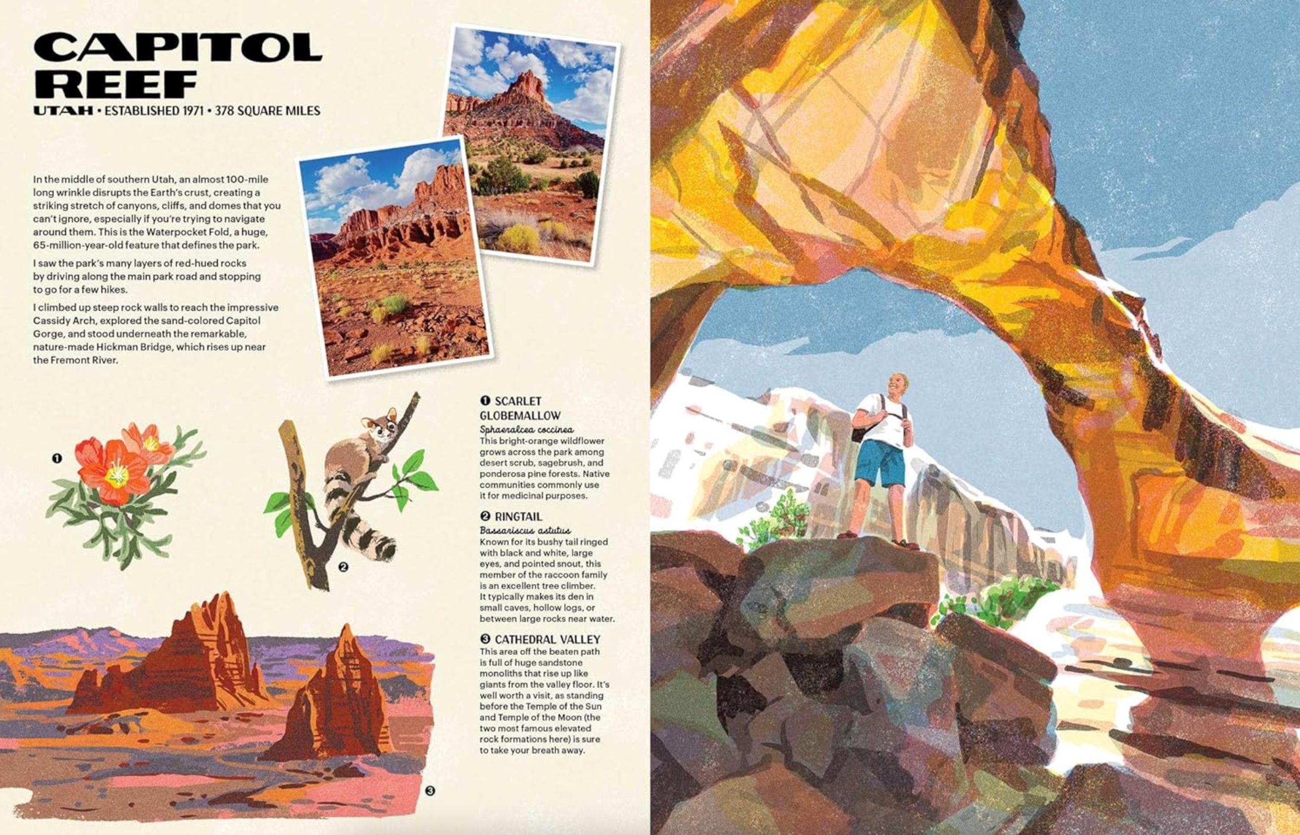 The Nature of Our National Parks, , large