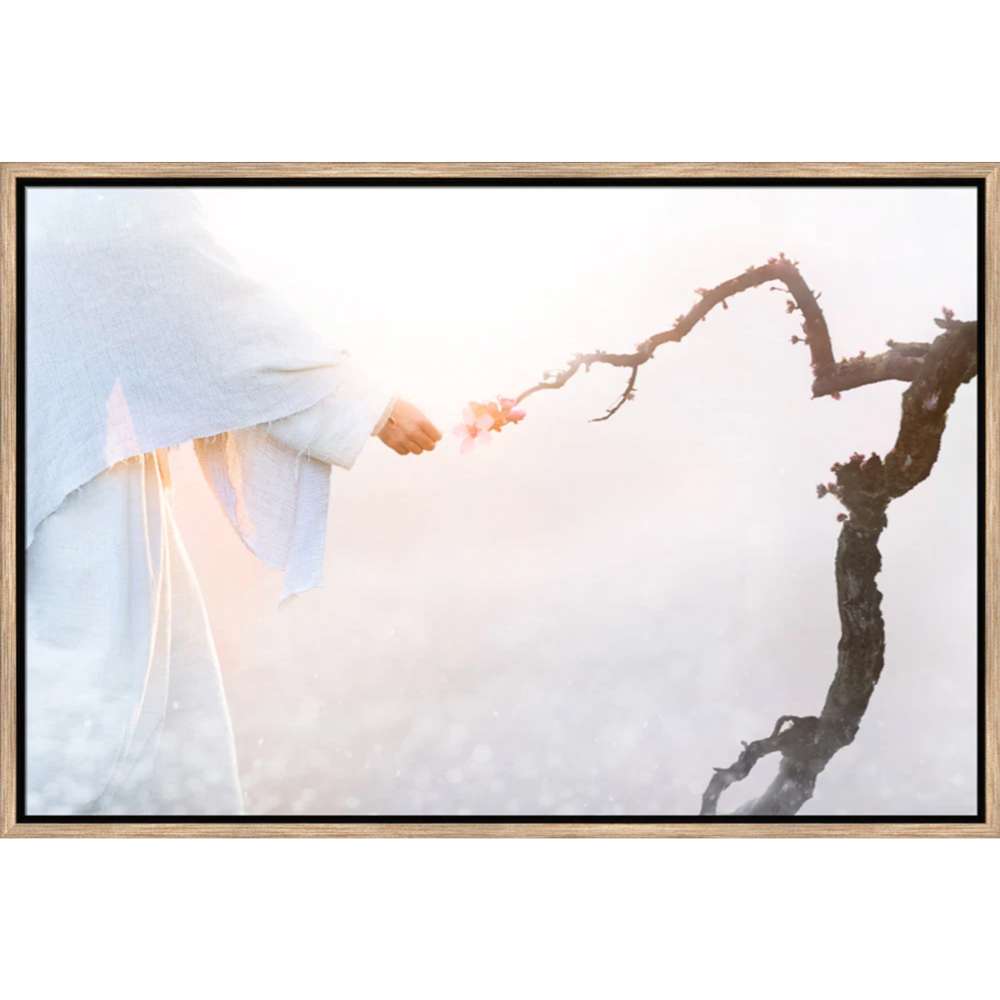Reborn (21x31 Framed Art)