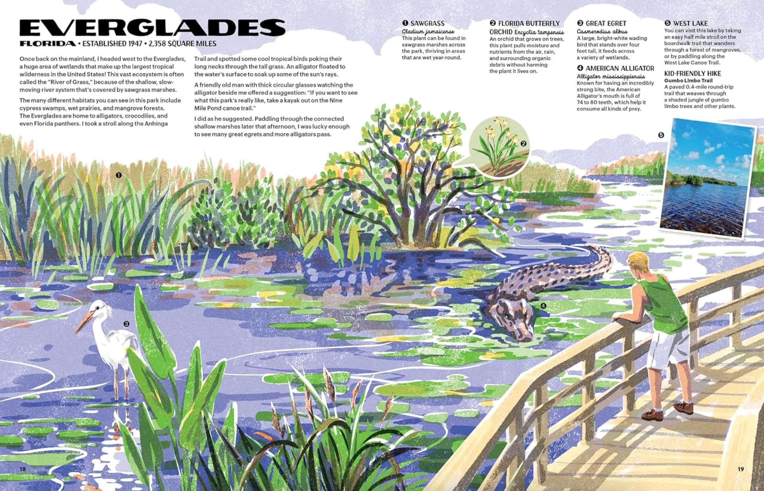 The Nature of Our National Parks, , large image number 2