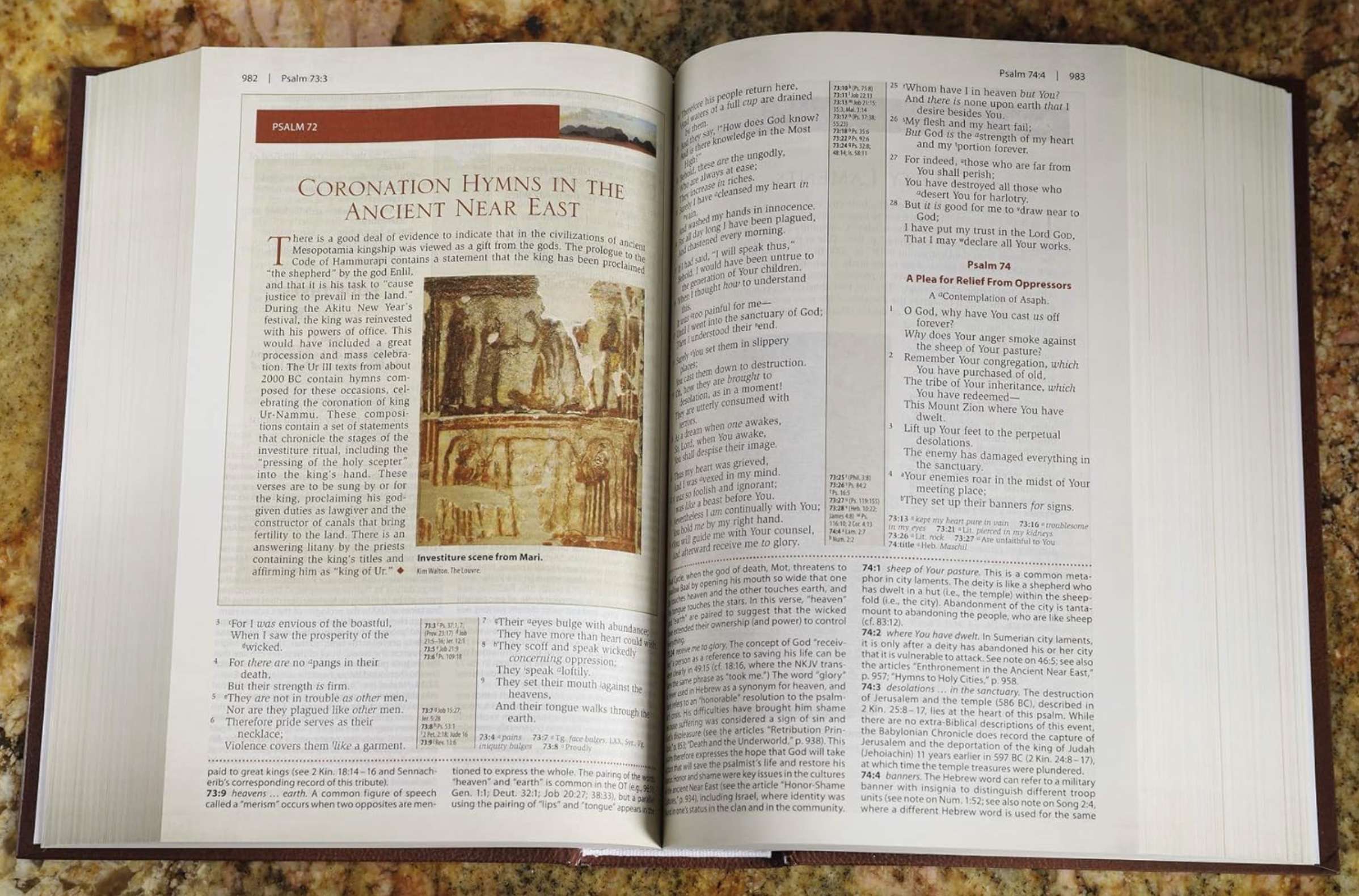 NKV, Cultural Backgrounds Study Bible, , large