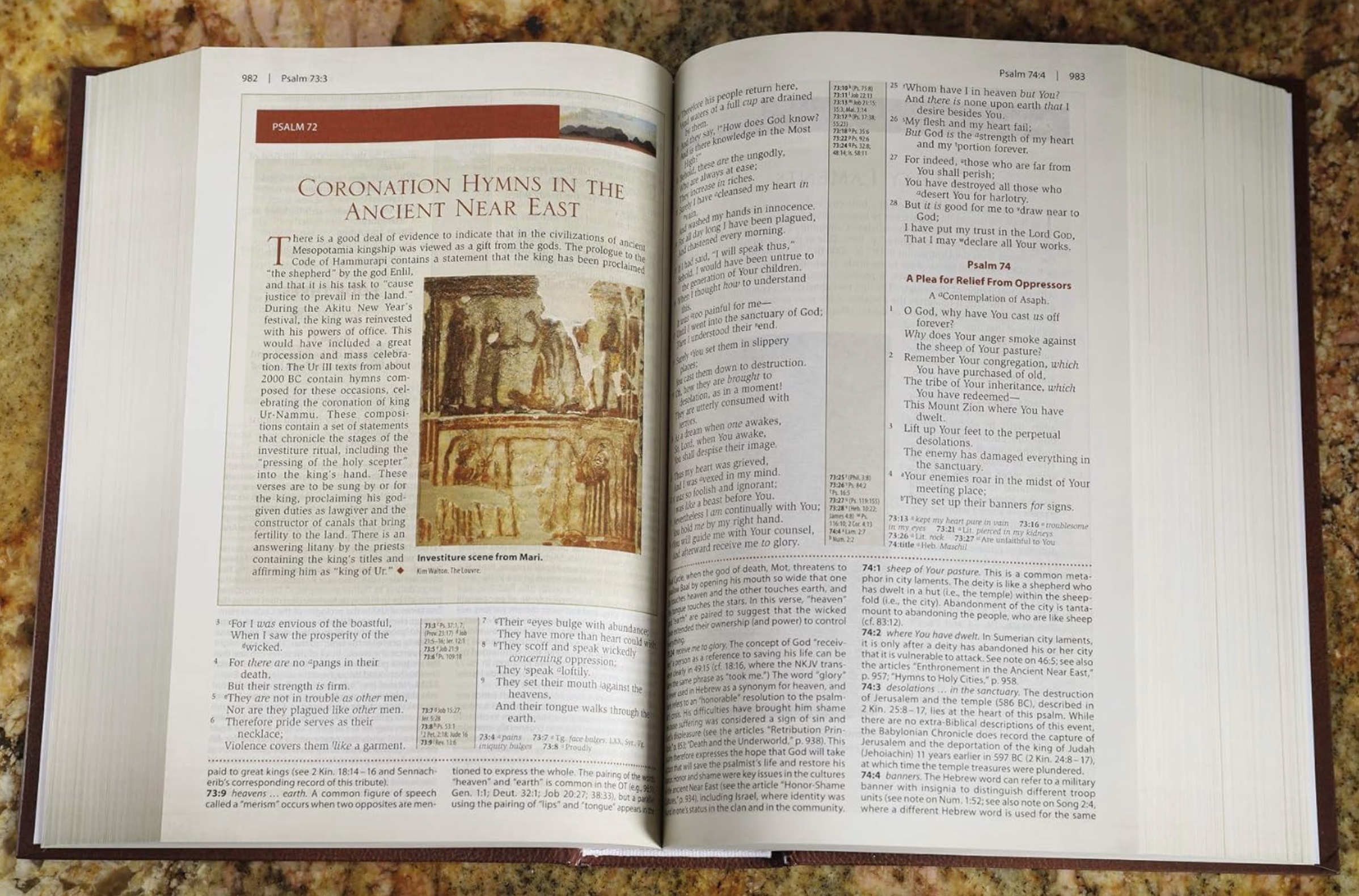 NKV, Cultural Backgrounds Study Bible, , large