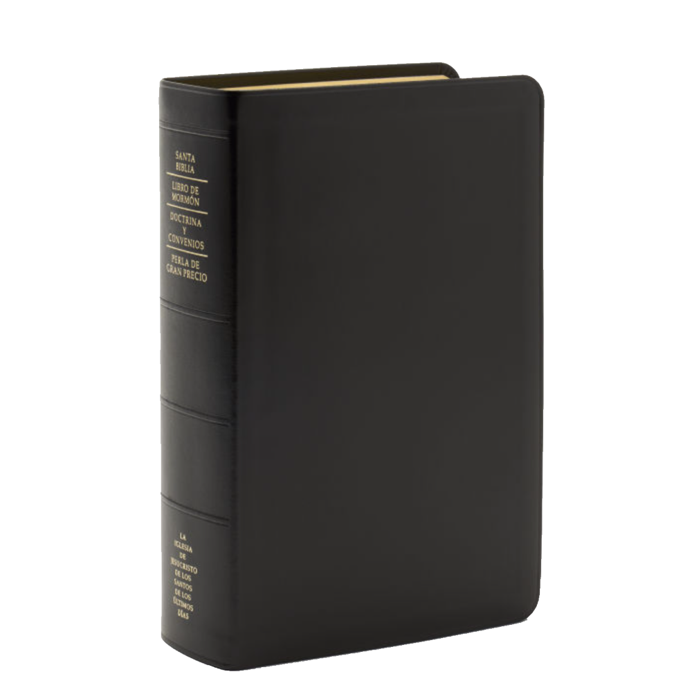 Spanish Quad Combination, Genuine Leather, Regular, Indexed,  Spanish Quad Combination, Genuine Leather, Regular, Indexed