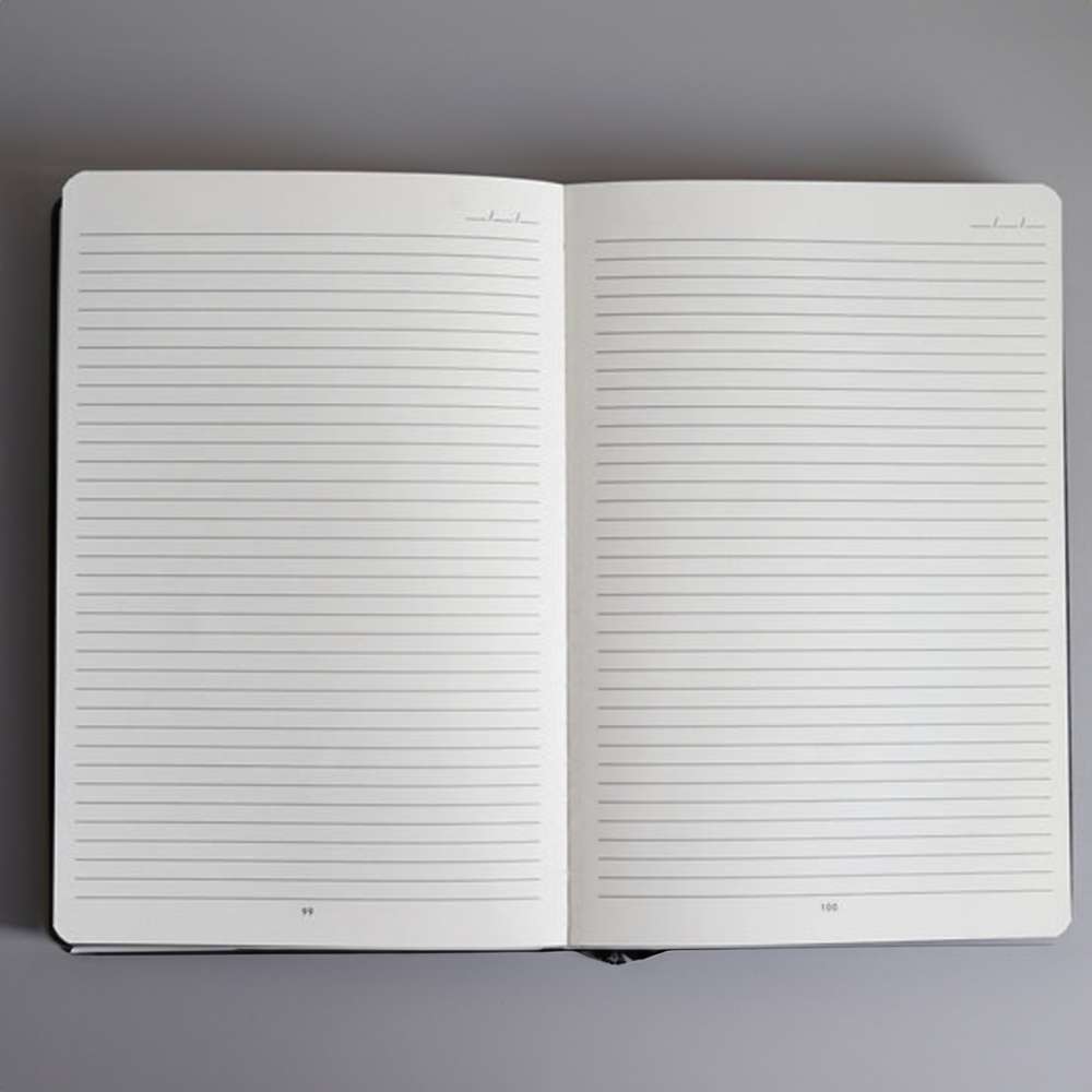 Daily Missionary Journal, , large image number 2