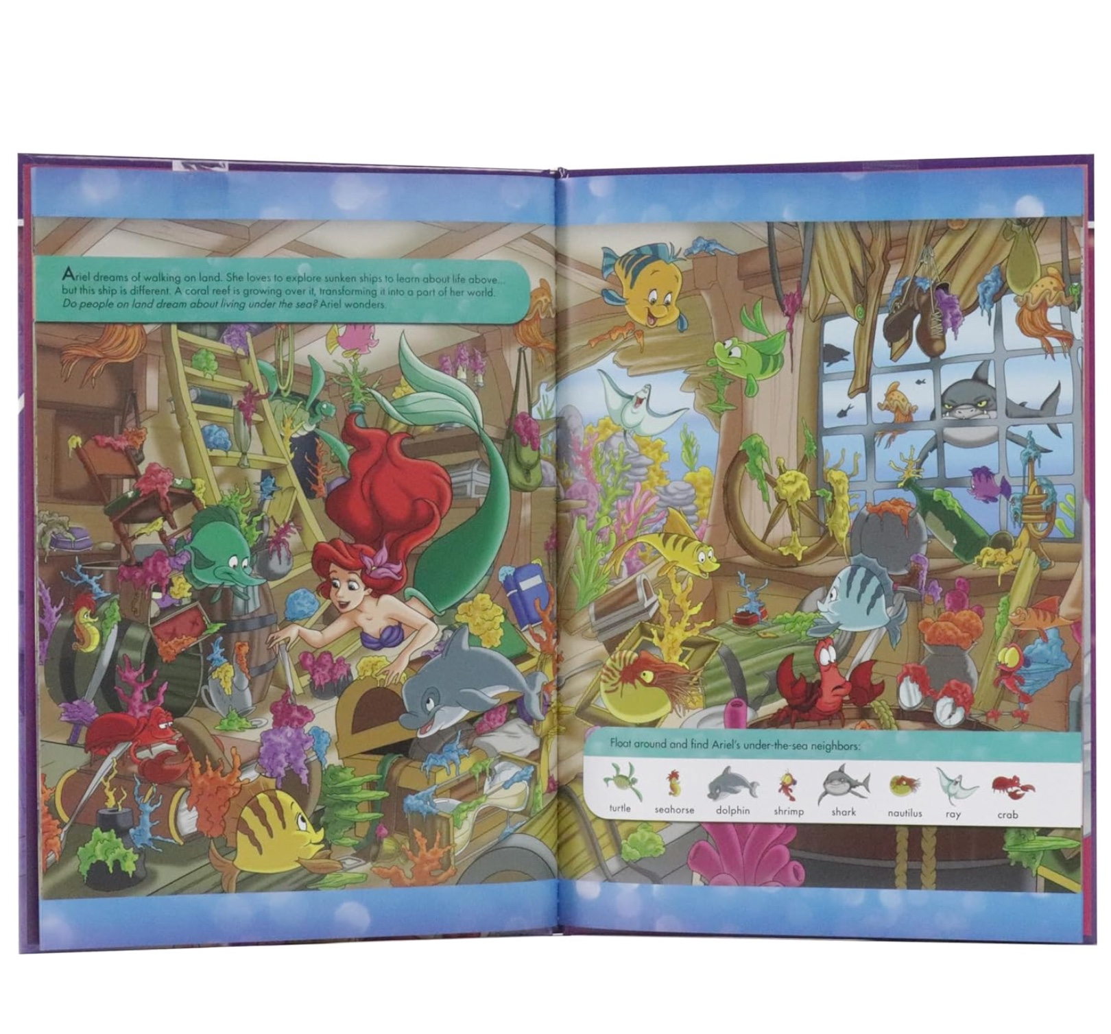 Dreams Come True (Disney Princess), , large