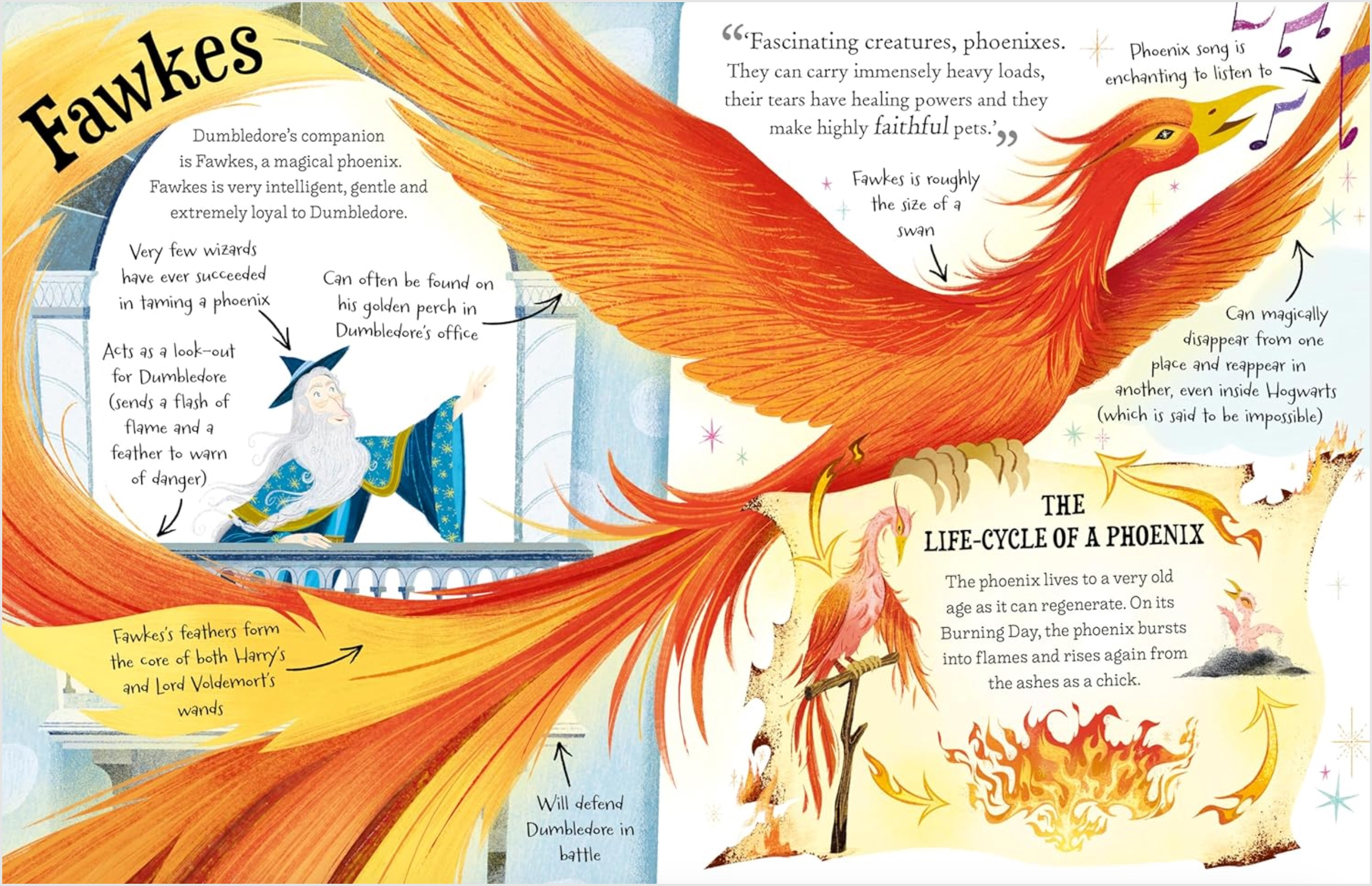 Pocket Potters: Professor Dumbledore (Little Guides to the Harry Potter Books #4), , large image number 2