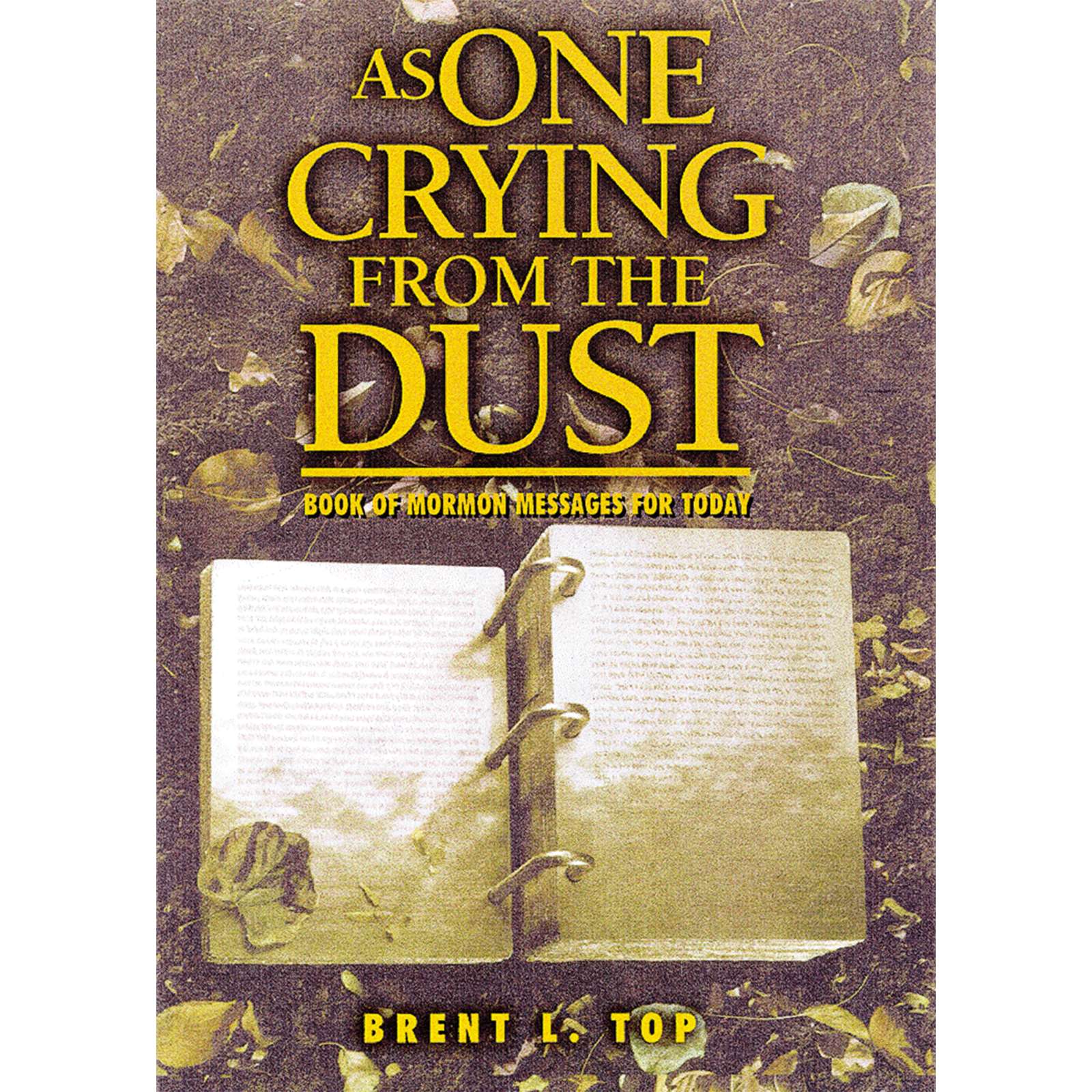 Brent L. Top on the Standard Works