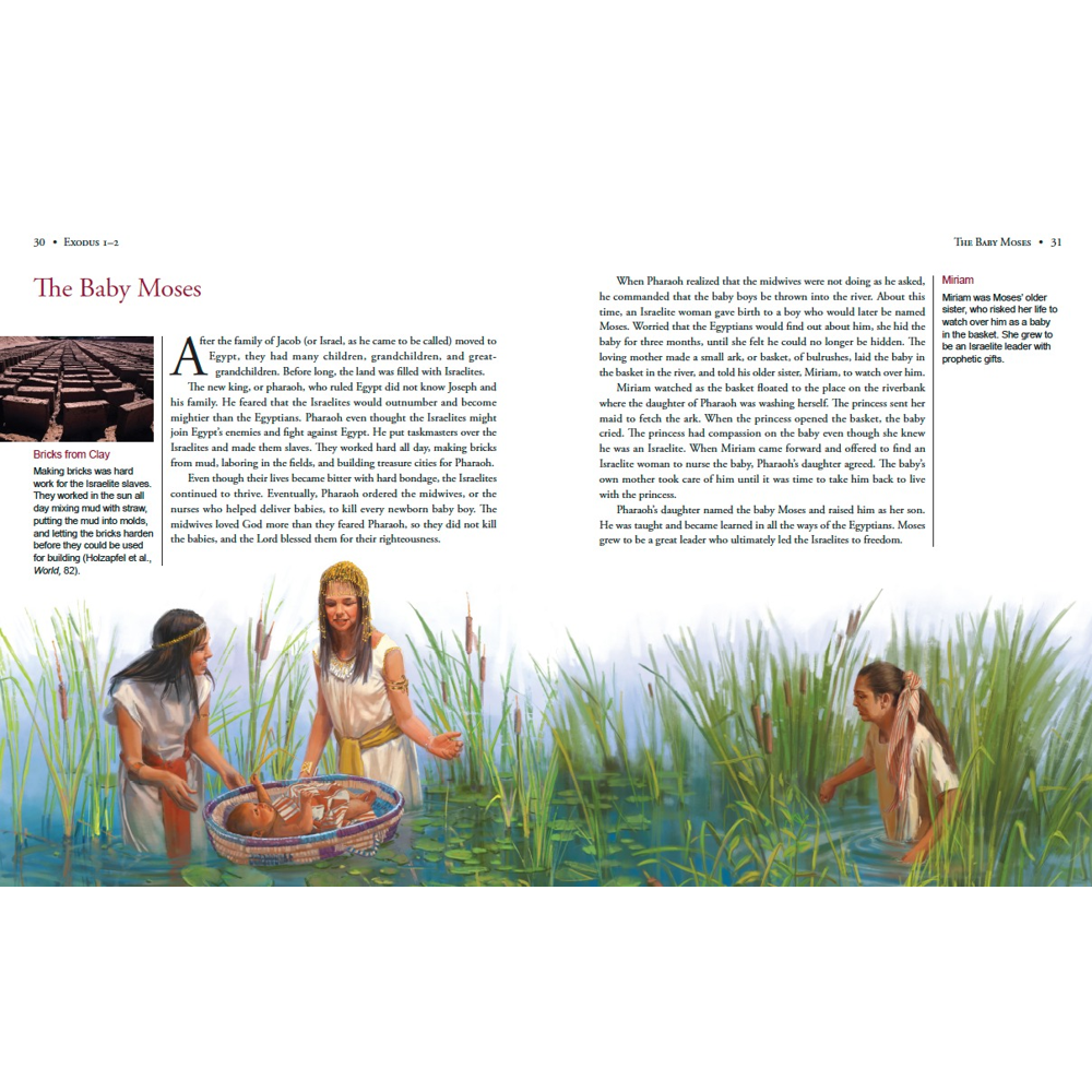 Illustrated Bible Stories for Latter-day Saints, , large