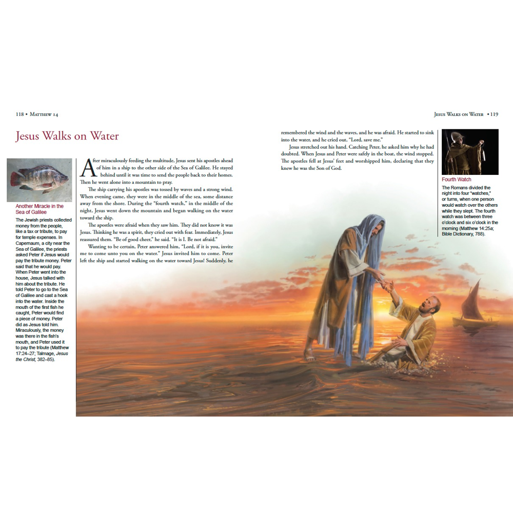 Illustrated Bible Stories for Latter-day Saints, , large image number 3