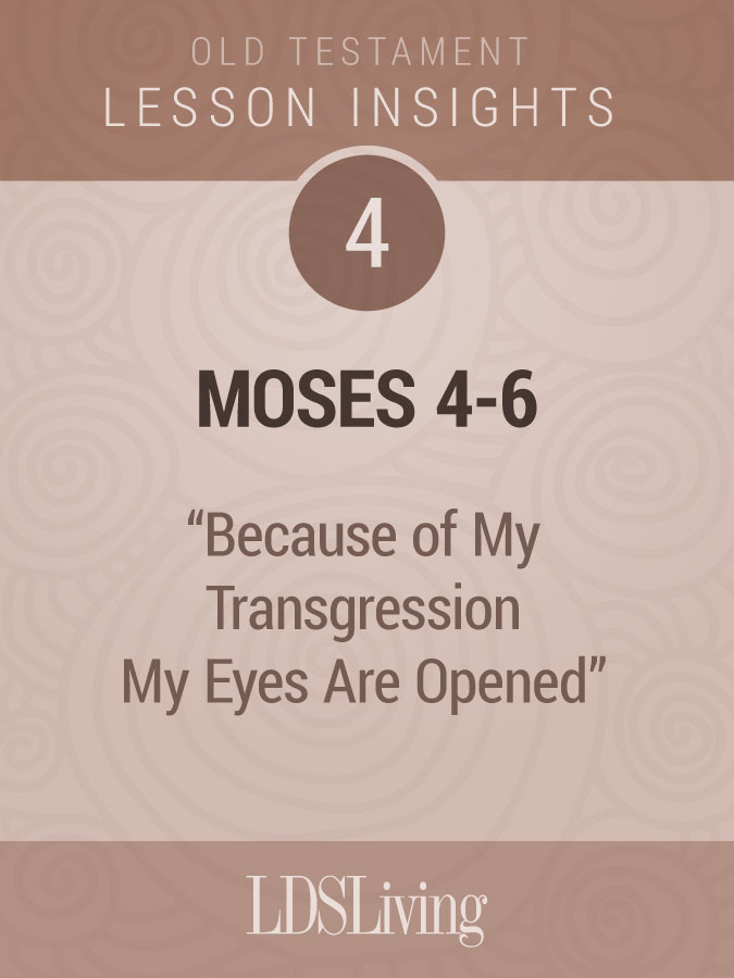 Lesson Insights Old Testament #4