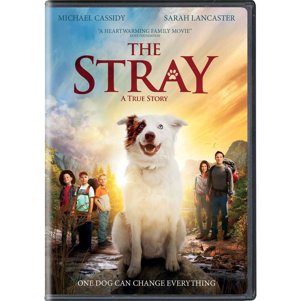 The Stray, , large image number 0