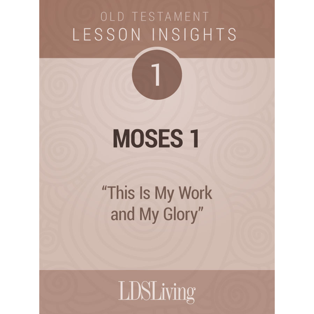 Lesson Insights: Old Testament #1, , large image number 0