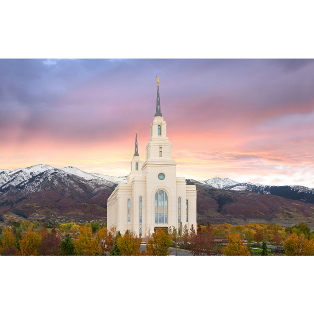 Layton Temple No-Flip Recommend Holder