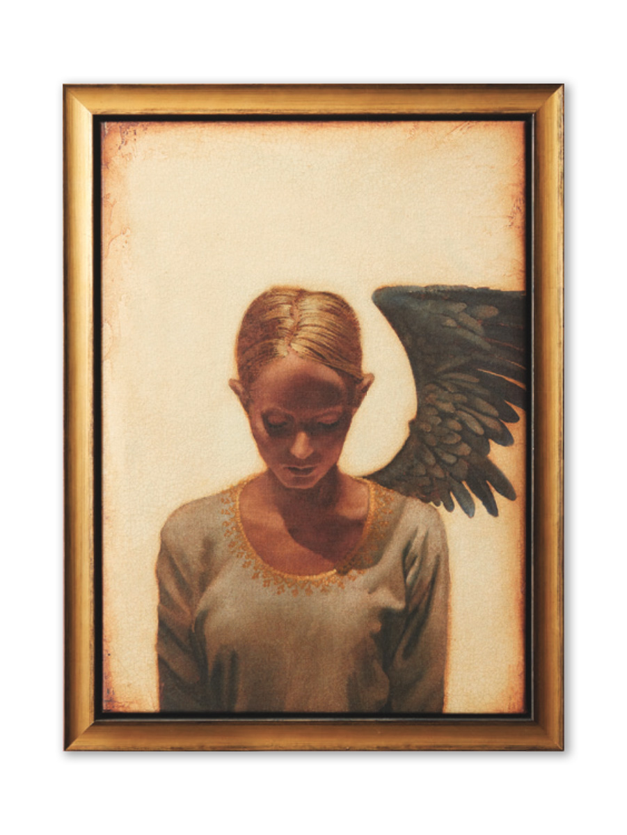 Sleeper Lost in Dreams (18x14 Framed Art)