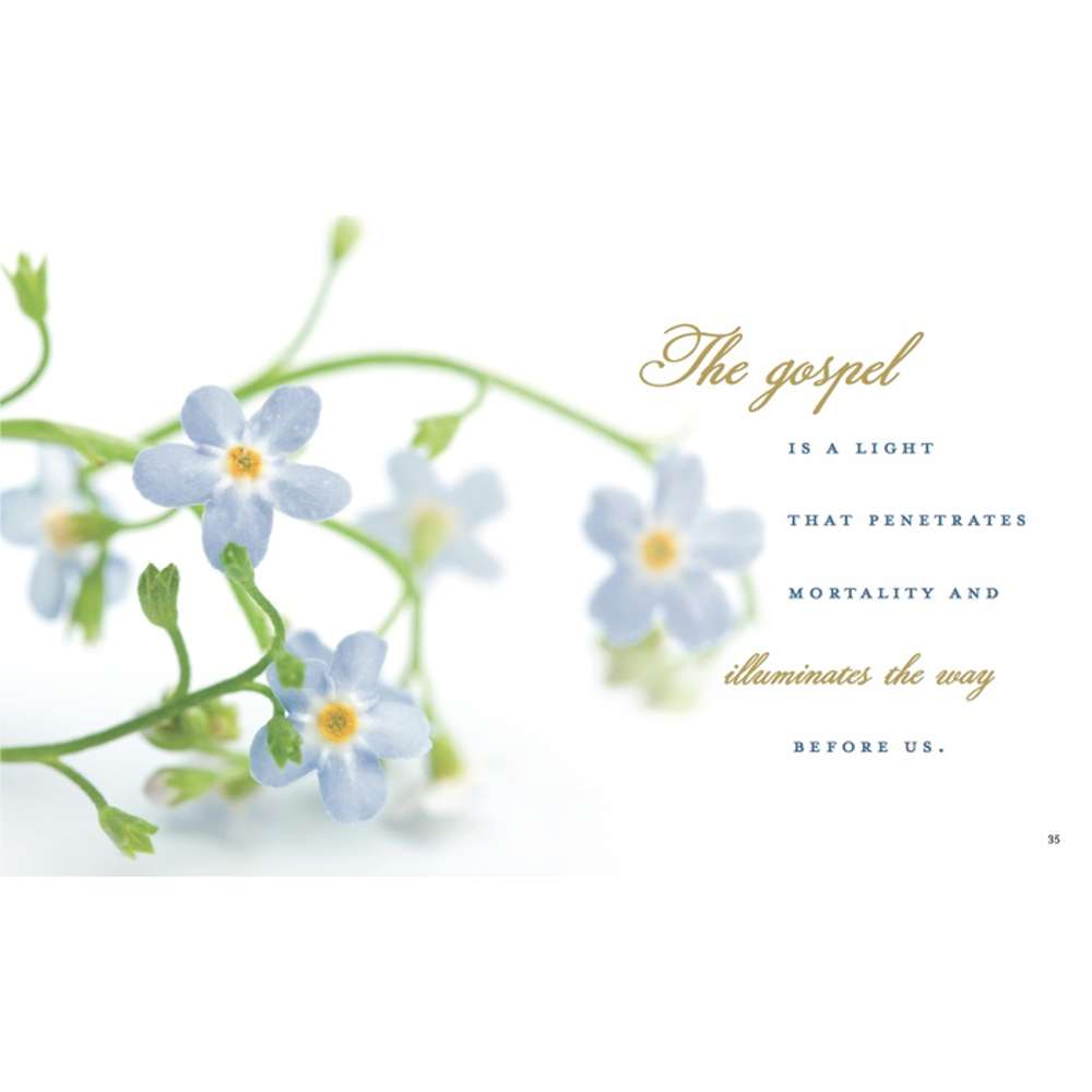 Forget Me Not 5