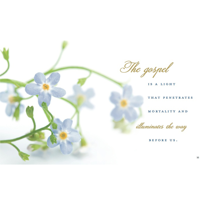 Forget Me Not, , large image number 3