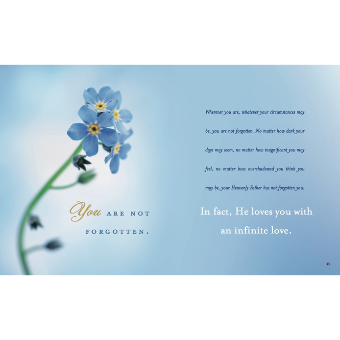 Forget Me Not, , large image number 4